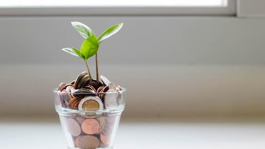 Business Loan Basics