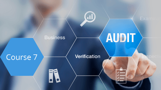 Fundamental Risk Audit Data Analytics Course