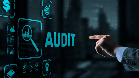 Internal Audit Standards - Executing the Audit Engagement