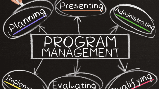 Improving Program Management in Government