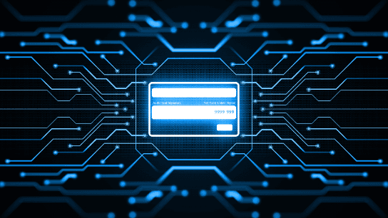 Future Fraud: Defending Digital Payment Systems