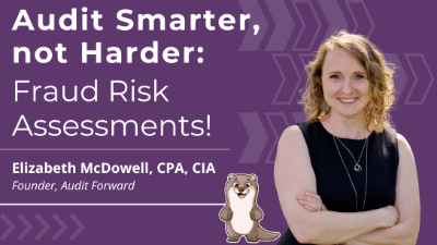 Audit Smarter, not Harder: Fraud Risk Assessments