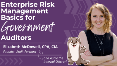 Enterprise Risk Management Basics for Government Auditors