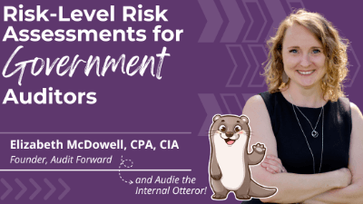 Risk-Level Risk Assessments for Government Auditors