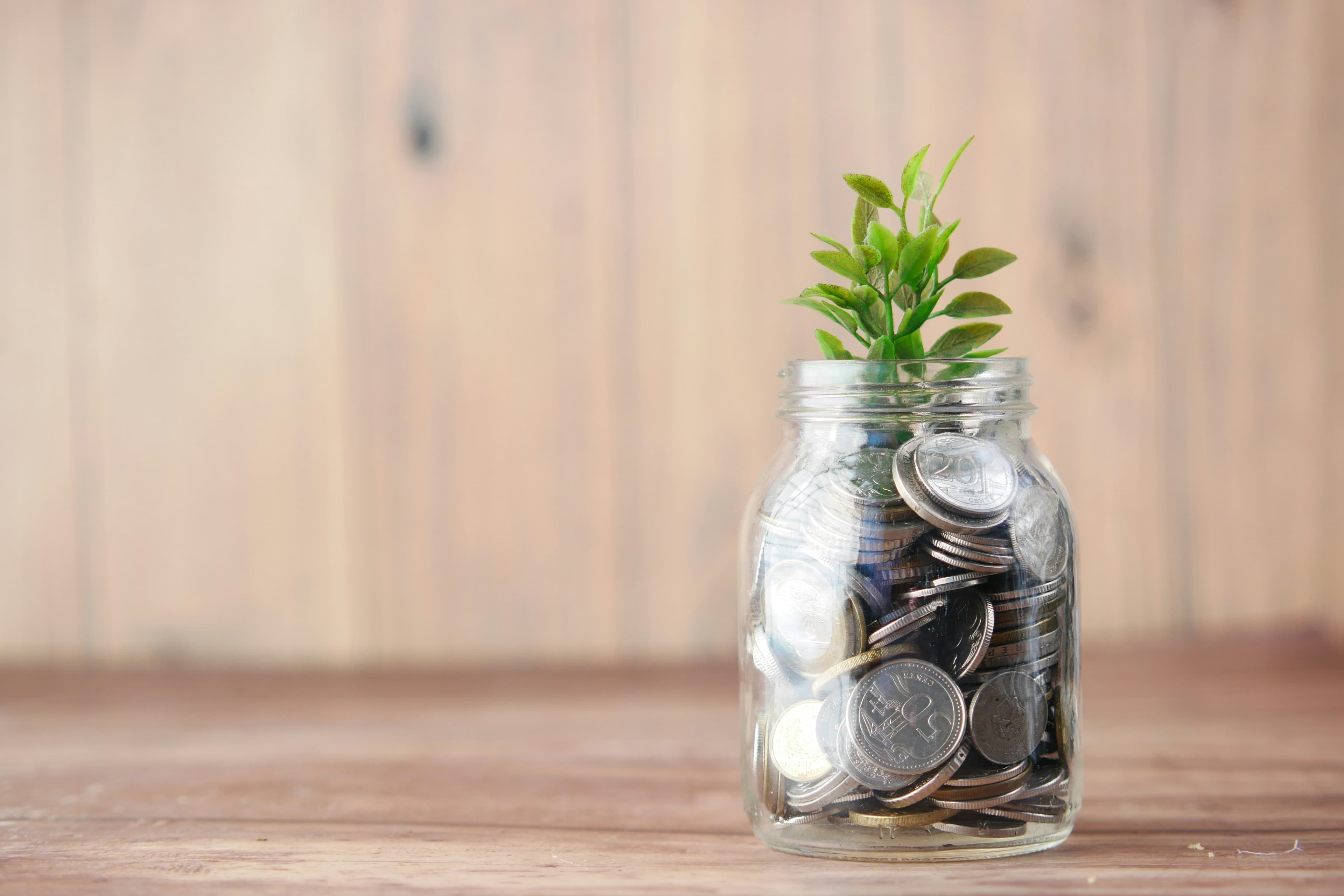 2026 Solo 401(k) Basics