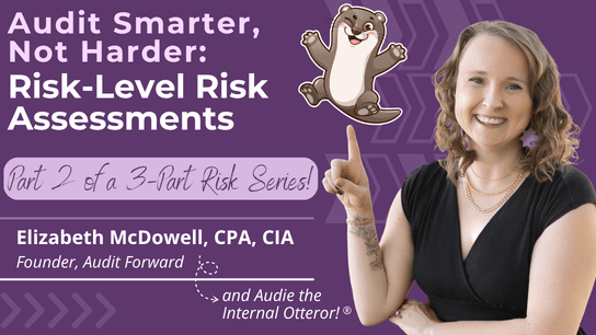Audit Smarter, not Harder: Risk-Level Risk Assessments